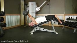 Decline EZ Bar Triceps Extension