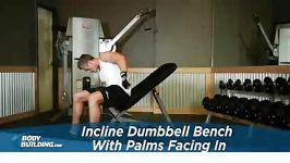 Incline Dumbbell Bench With Palms Facing In L