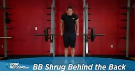 Barbell Shrug Behind The Back