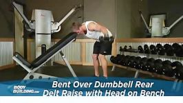 Bent Over Dumbbell Rear Delt Raise With Head On Bench