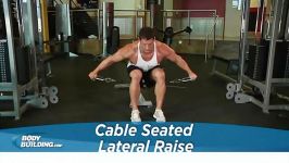 Cable Seated Rear Lateral Raise