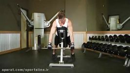 Incline Bench Pull