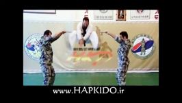 انجمن هاپکیدو ایران Iran Hapkido Association