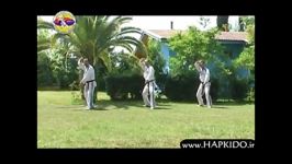 هاپکیدوانجمن هاپکیدو ایران  Iran Hapkido Association