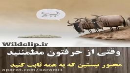 نیازی نیست همه چیز را به همه ثابت کنی