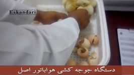 جوجه کشی دستگاه جوجه کشی هواباتور