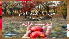 تو را دوست دارم، قیصر امین پور، خوانش شیدا حبیبی