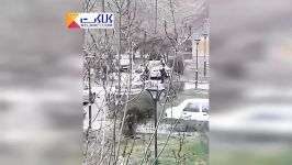 کشته شدن ۲ مامور نیروی انتظامی یک زن توسط شوهر عصبانی در مشهد ۹۸