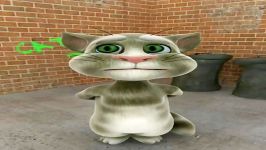 talking tom cat