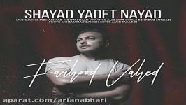 Farhood Vahed  Shayad Yadet Nayad فرهود واحد  شاید یادت نیاد 