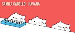 کاور اهنگ هاوانا گربه ها havana