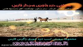 سیلمی دره شوری شجره عالی سردار فارس 