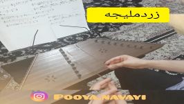 آموزش قطعه زرد ملیجه ، مدرس پویا نوایی