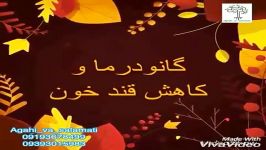 جایگزین انسولین گیاهی