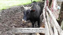 داستان روزیِ بی رنج قسمت اوّل