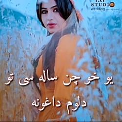 اهنگ بختیاری محلی مهران علیزاده دل پرخینمه