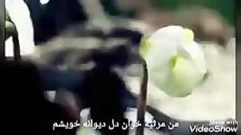 شاعر نیم شعر ندانم چه باشد عباس دهقان مهدی اخوان ثالث م. امید