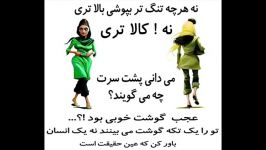 هرچی تنگ بپوشی بالاتری