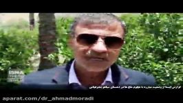 صحبت های احمد مرادی درخصوص هجوم ملخ ها به اراضی کشاورزی دهستان سیاهو