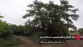 چنار کهنسال روستای چنارشوره خرم آباد