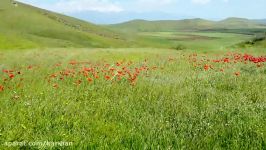 طبیعت بسیار زیبای روستای کری بزرگ اردبیل