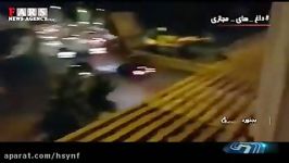 جنجال ساخت آبخوری برای زنبور ها