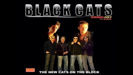 Black Cats  Dardesar  بلک کتس  دردسر