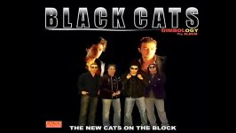 Black Cats  Didar  بلک کتس  دیدار