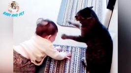 MOST Crazy Cats Annoying Babies If You Laugh You Lose Challenge  BABY AND PET