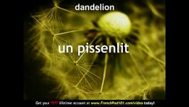Learn French  French Plants Vocabulary