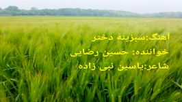 آهنگ جدیدافغانی شاد به صدای حسین رضایی.     #Jamal Tv #afghanistan#