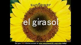 Learn Spanish  Spanish Plants Vocabulary