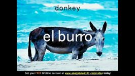 Learn Spanish  Spanish Farm Animals Vocabulary