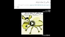 كاربر كپى گر دروغ گو در اپارات