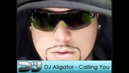 اهنگ dj aligator