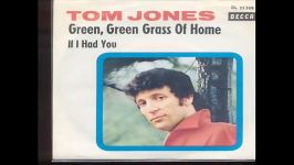 Green Green Grass Of Home  Tom Jones