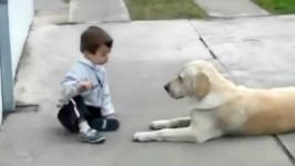 Sweet Mama Dog Interacting with a Beautiful Child with Down Syndro.