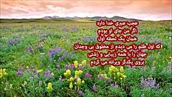 معینی کرمانشاهی  عجب صبری خدا دارد .........