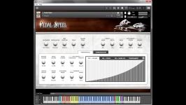 PEDAL STEEL Instrument Tutorial Kontakt Player VST AU AAX