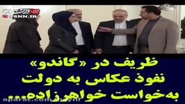 ظریف دوباره گاندو به درخواستخواهر زاده روحانی