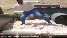 شایعه یا واقعیت؟ استفاده مرغ‌های مُرده در کارخانه سوسیس کالباس در شیراز