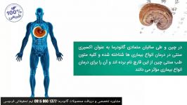 چرا گانودرما اکسیر جوانی لقب گرفته است؟