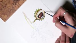 Painting a Conker  Watercolour Time lapse