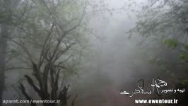 خبر خوش  جنگل های هیرکانی ایران در یونسکو ثبت شد