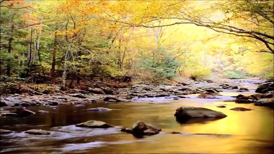 دکلمه شعر رهی معیری  برم آن سرو بالا می رود