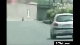 دستگیری خطرناک ترین راننده تهران + فیلم