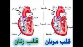 حقیقت تلخه میدونم