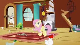 My Little Pony Friendship is Magic  Meet fluttershy