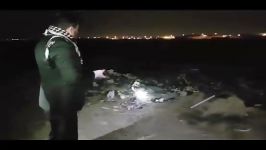 کشته سوزاندن 300  200 قلاده سگ توسط شهرداری اهواز