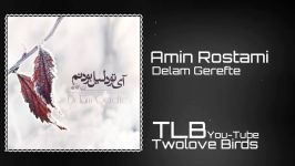 Amin Rostami  Delam Gerefte Official Track امین رستمی  دلم گرفته